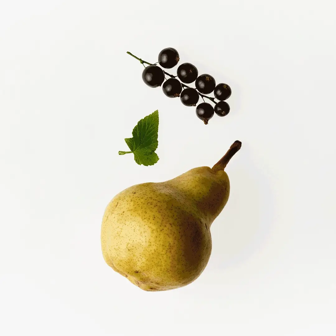 Fresh Pistachio Laundry Shampoo + Conditioner Refill - Image 3